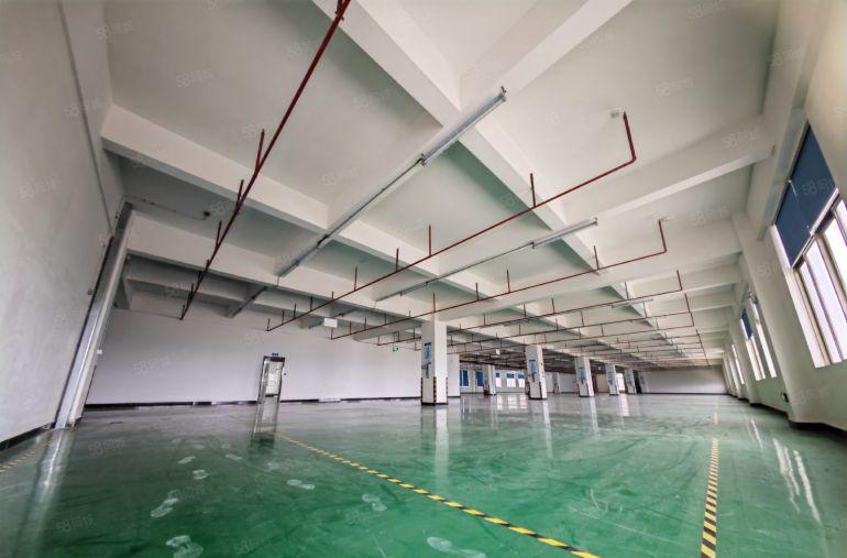 福田大路旁独院标准厂房出租，原房东！实量面积！没有公摊！