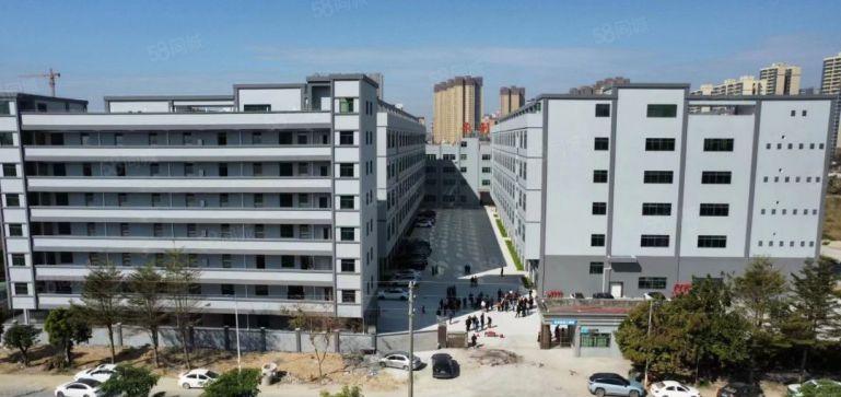 博罗县独门独院全新厂房仓库低价出租，交通便利，大小分租