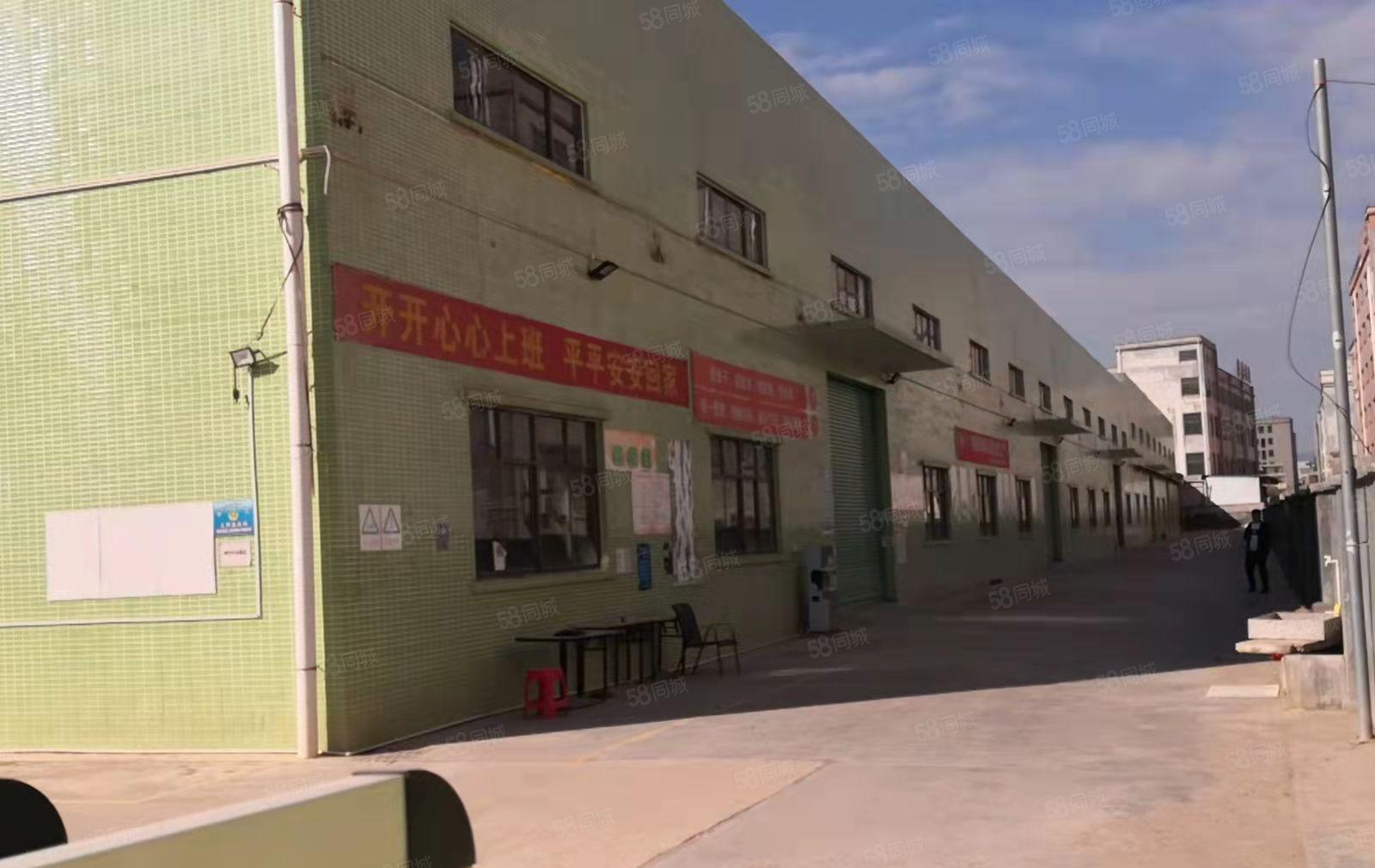 博罗县园州现成冷库出租4000平方制冷设备齐全