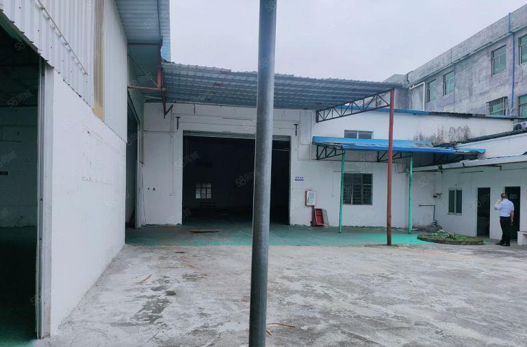 原房东低价出租园洲独门独户单层钢构1250平方证件齐全可分租