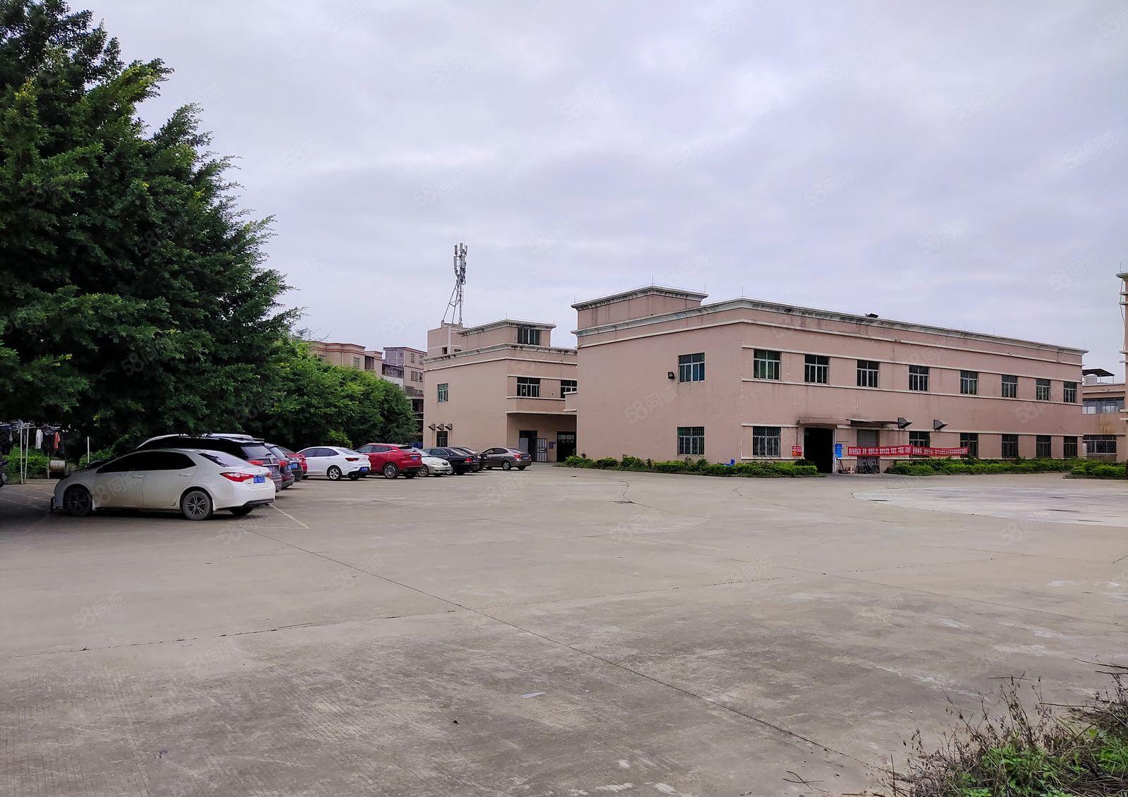 园洲镇红本双证独院厂房出租4900方，可分租，豪华装修办公室