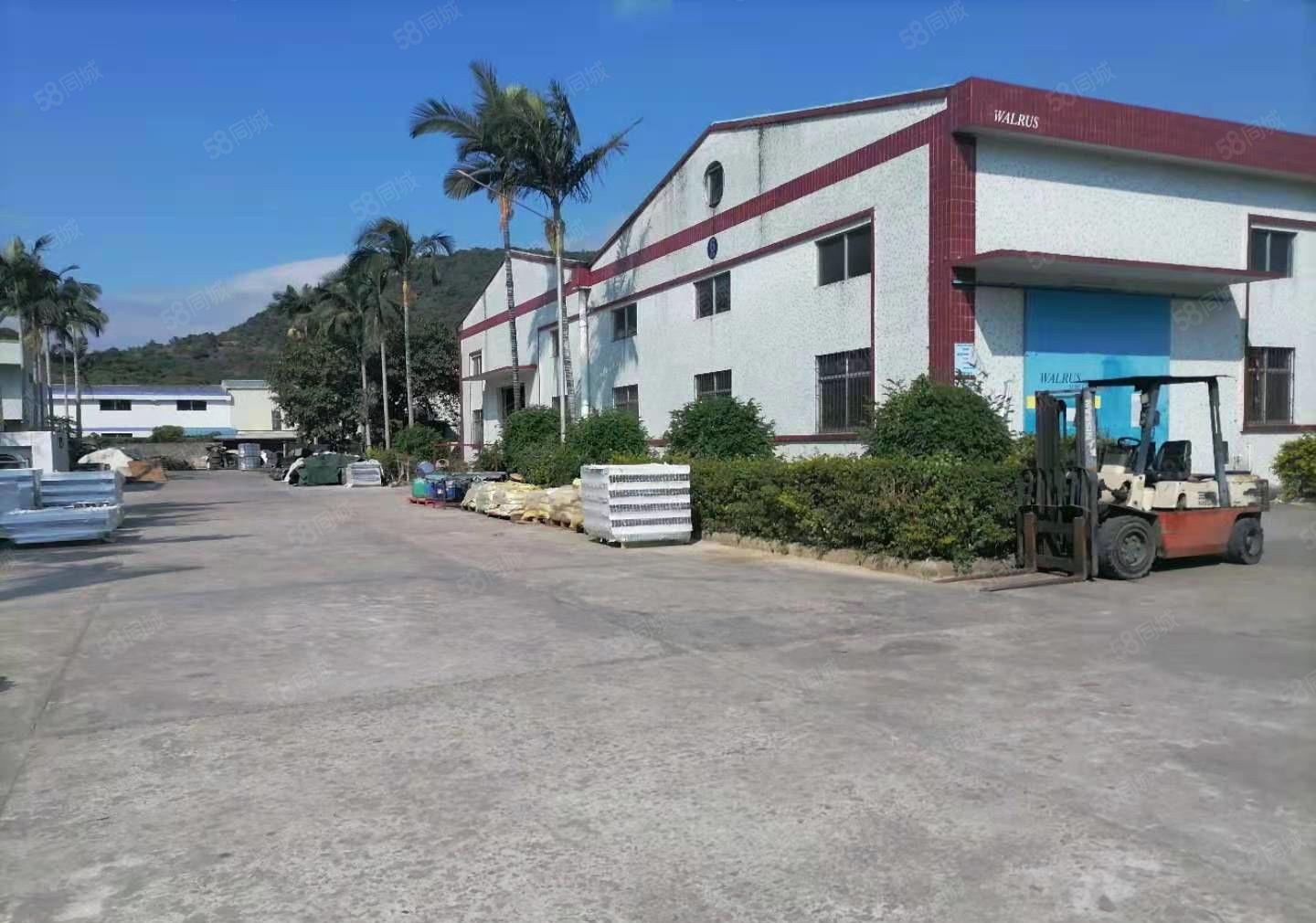 2000起分栋租！26000方独院钢构厂房仓库出租证件齐全