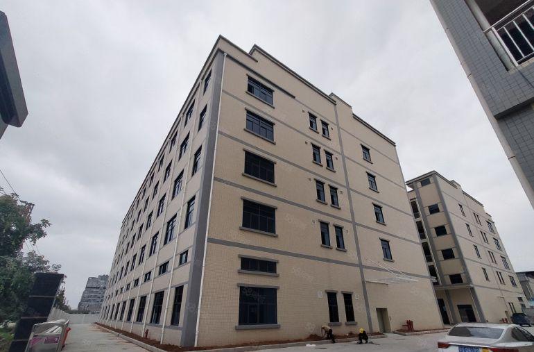 500平方起分园洲工业区9元起租证件齐全可办环评可仓库可生产