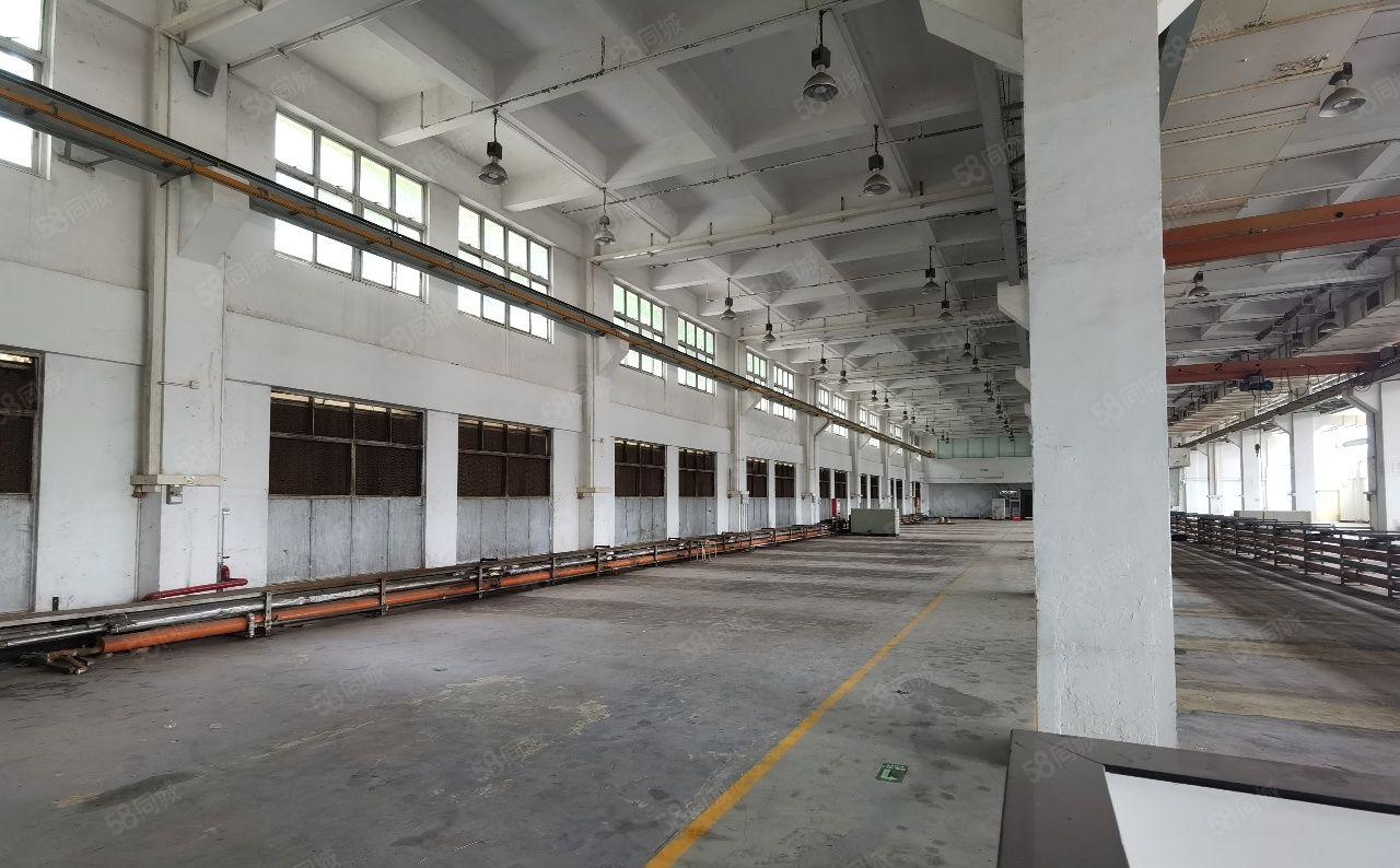 石湾镇原房东独院标准加钢构厂房招租5100平方三层单一层5千