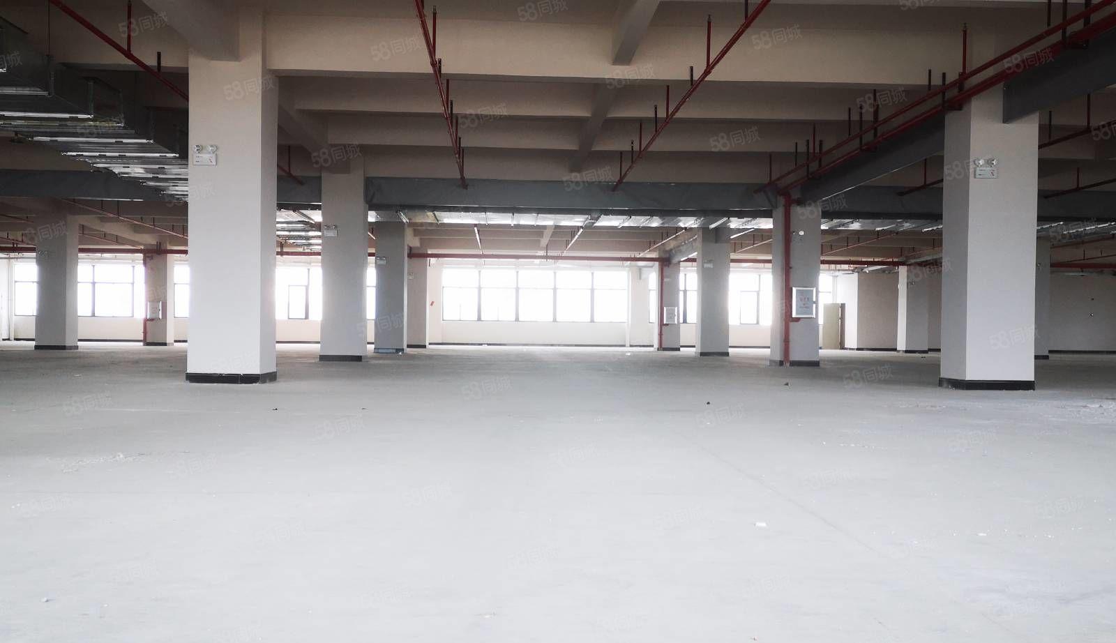 原房东全新厂房仓库6000平米 可分租