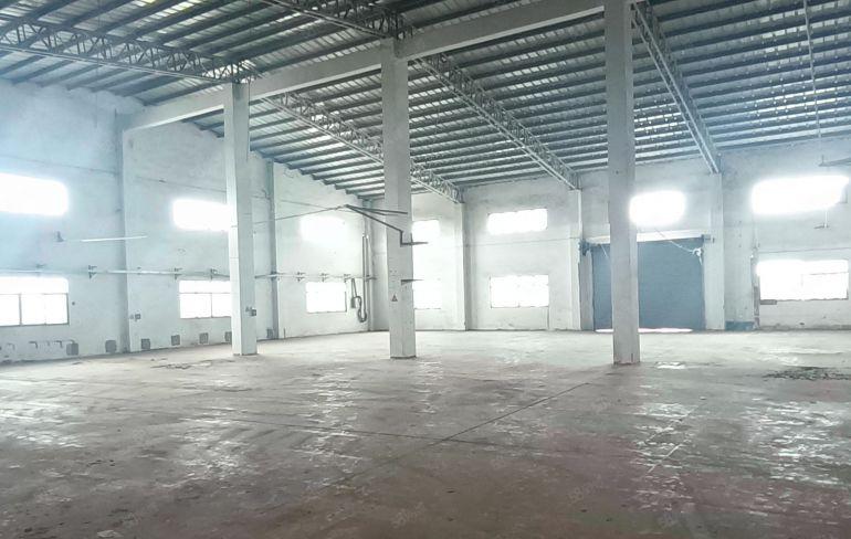 博罗县园洲镇砖墙到顶独院单一层厂房仓库出租