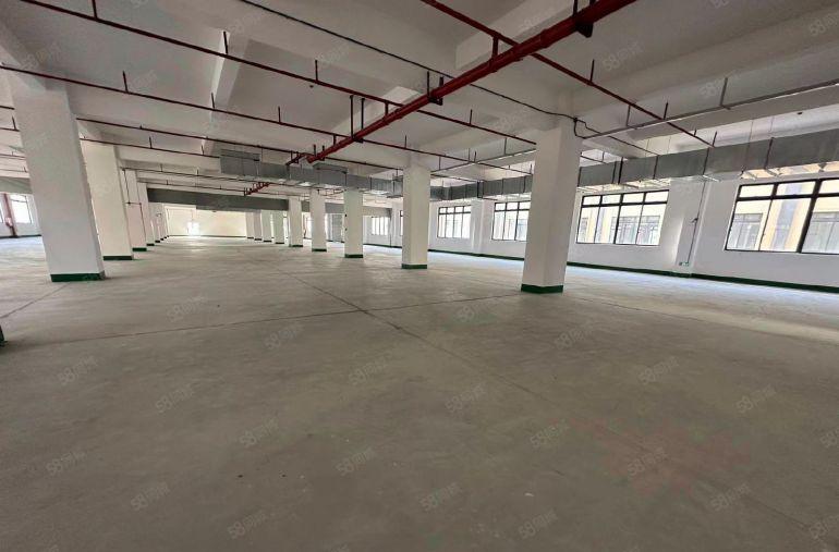 低价出租龙溪原房东全新红本多层厂房