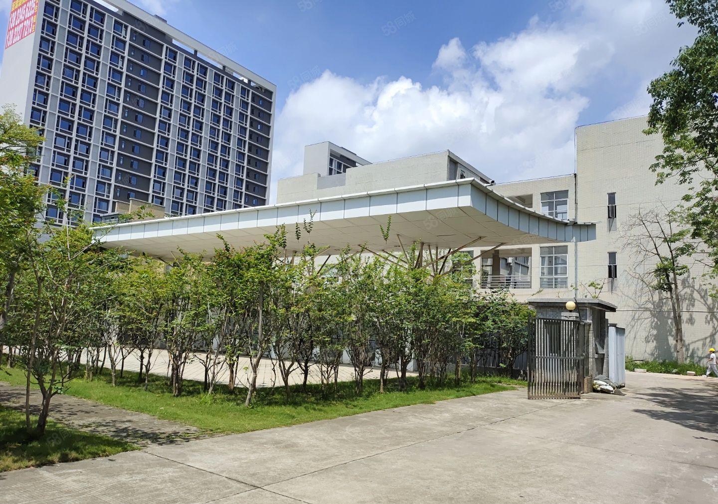 惠州博罗石湾华盛泰科技园全新20万红本厂房房东直租