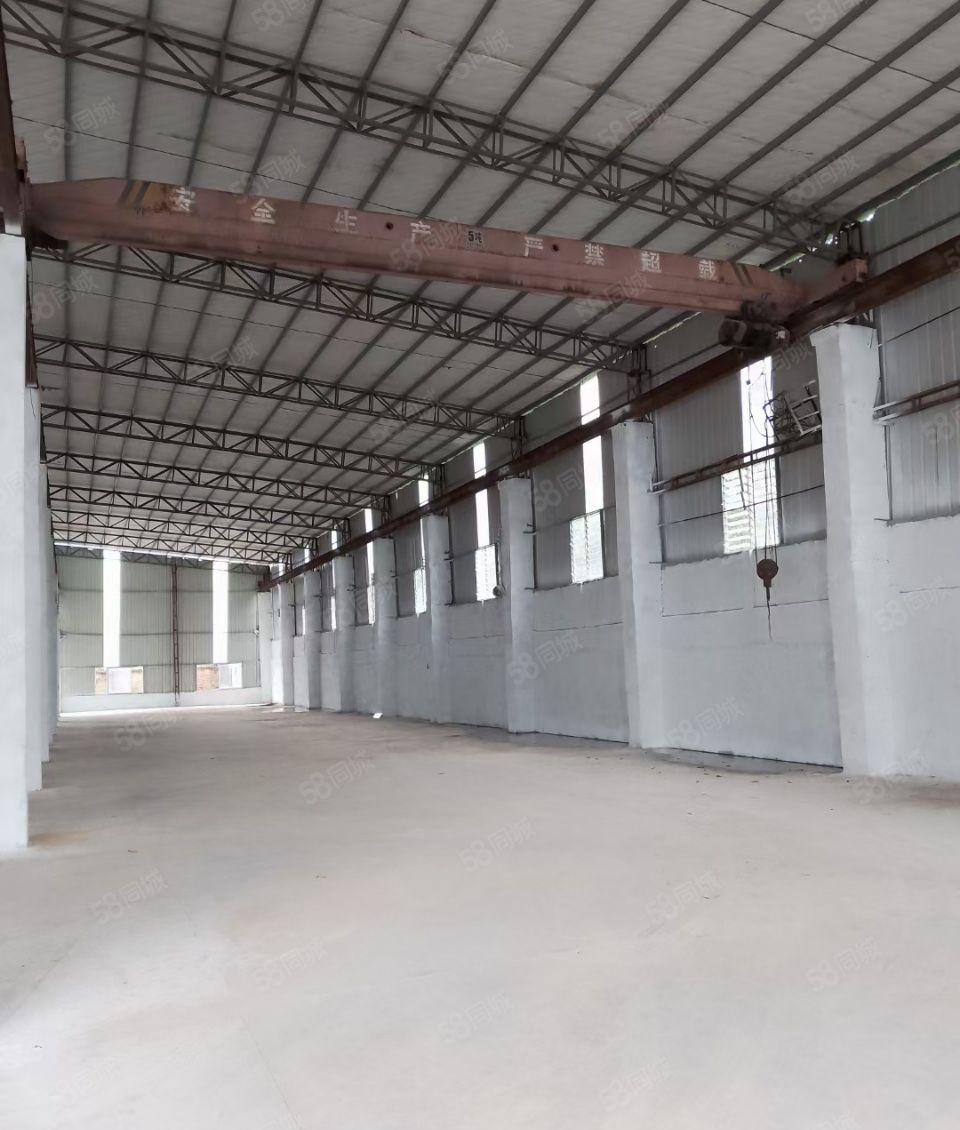 长宁县独门独院  厂房方正   价格便宜