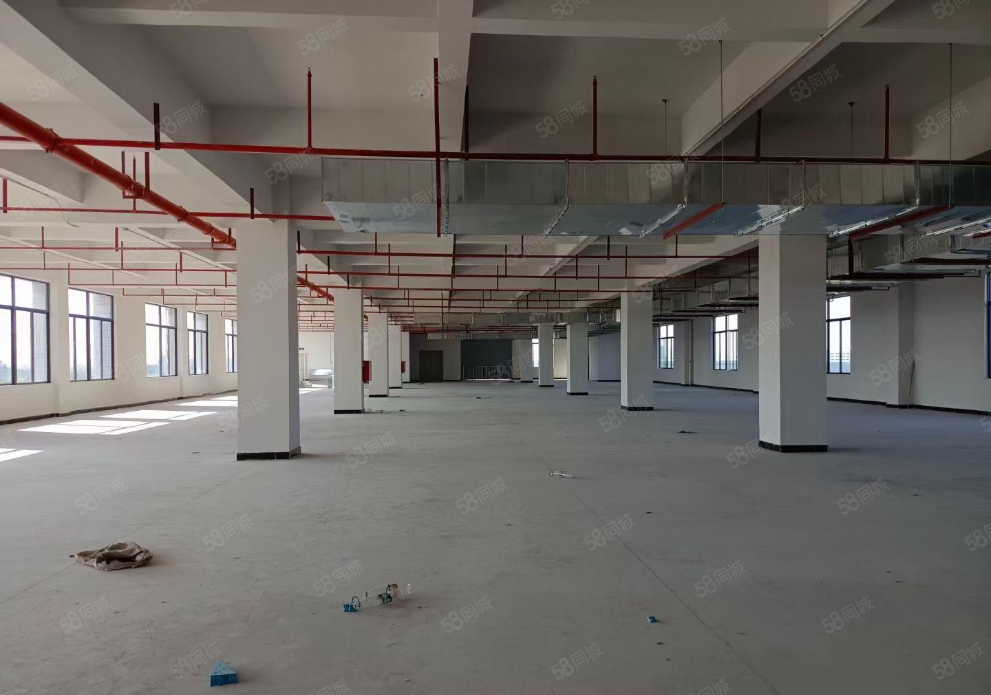 罗阳镇原房东独栋红本标准厂房面积4750招租