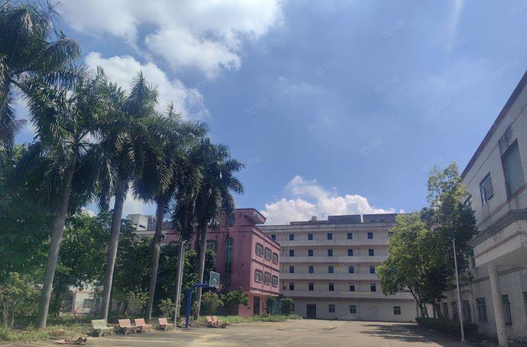 桥头隔壁独院带办公室宿舍食堂厂房出租带独立院子