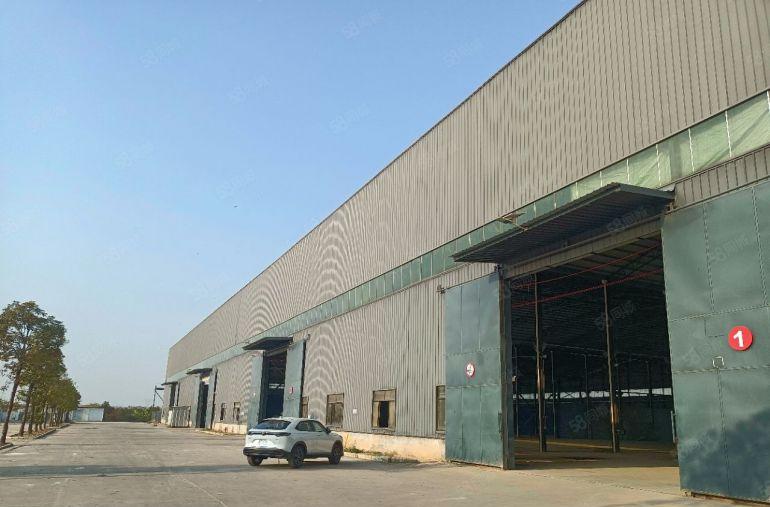 石湾镇单一层厂房出租滴水12米空地10000平方