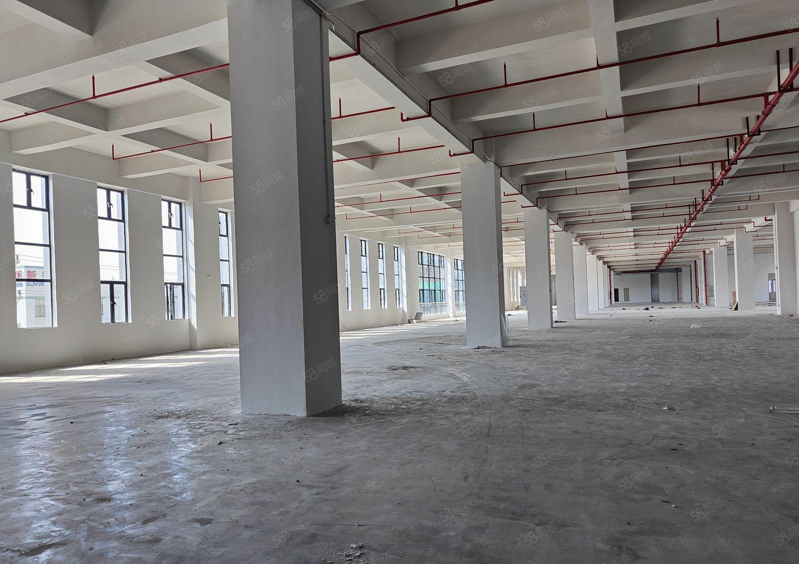 园洲工业区附近新出6880平方标准厂房出租，可以分租