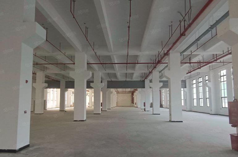 园洲镇原房东独院标准厂房61600平带现成蒸汽