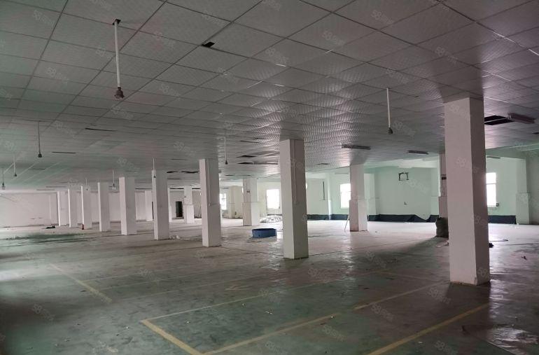 园洲镇标准楼房五百平至3000平低价厂房出租仓库出租