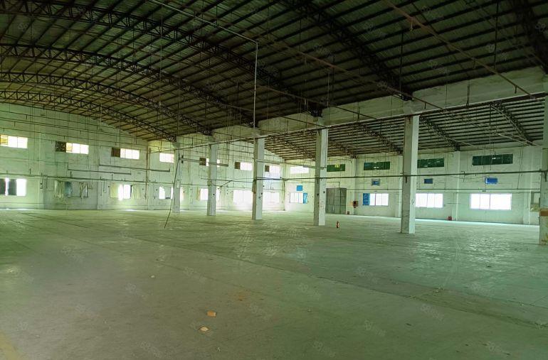 石湾镇独院单一层厂房出租仓库出租，大道旁工业用地证件齐可分租