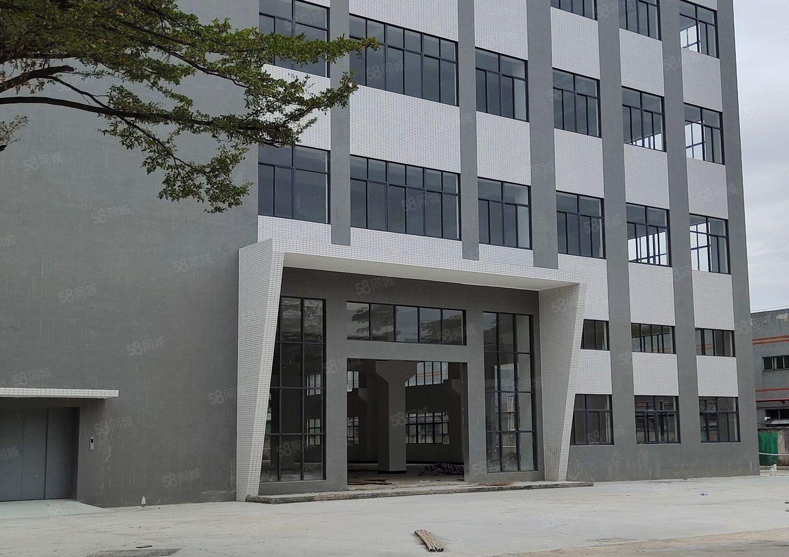 石湾镇全新原房东厂房出租