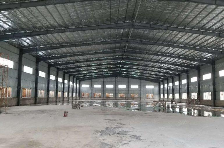 园洲原房东低价独院厂房仓库出租地皮出租重工业厂房出租