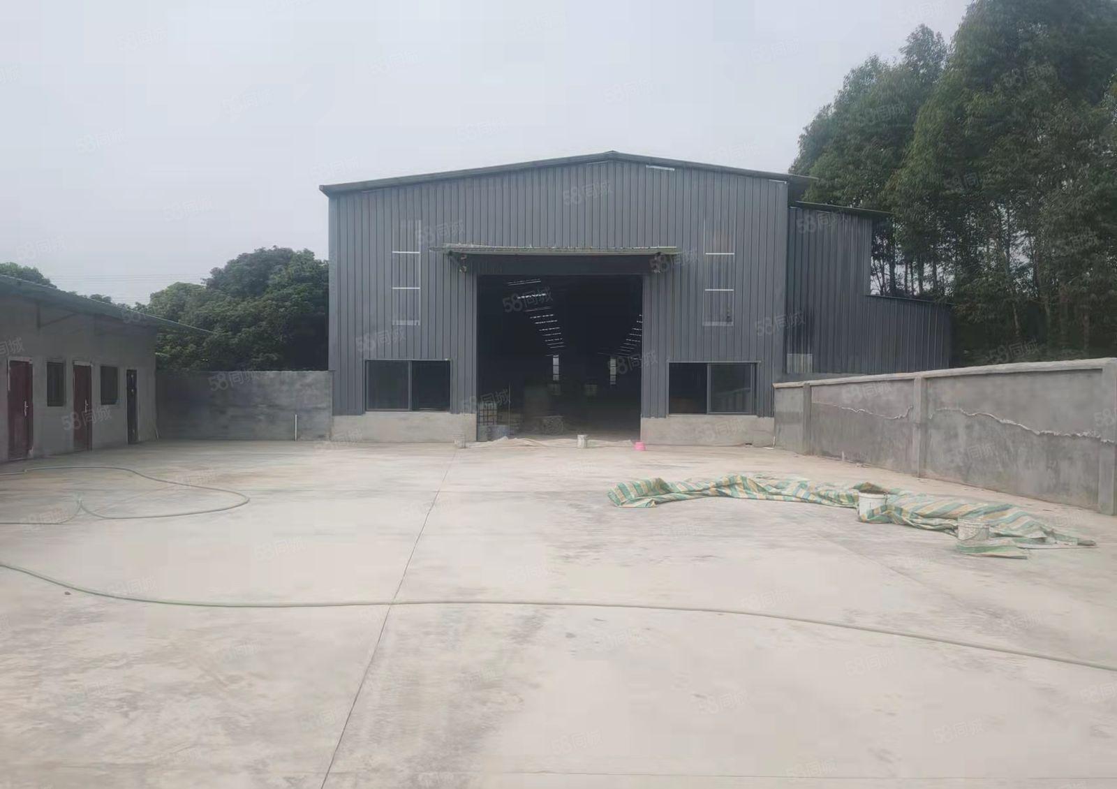 龙华镇原房东全新独门独院滴水8米单一层厂房招租