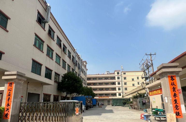 园洲！新出原房东！标准带喷淋！