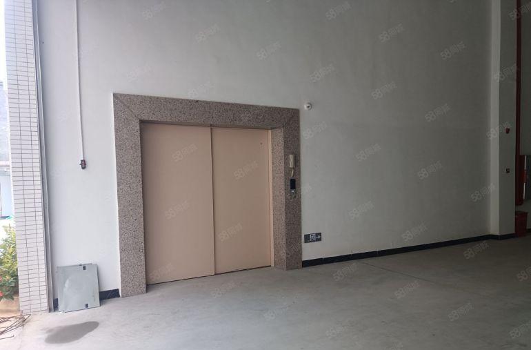 石湾镇原房东全新独院红本厂房17000平米出租可分租