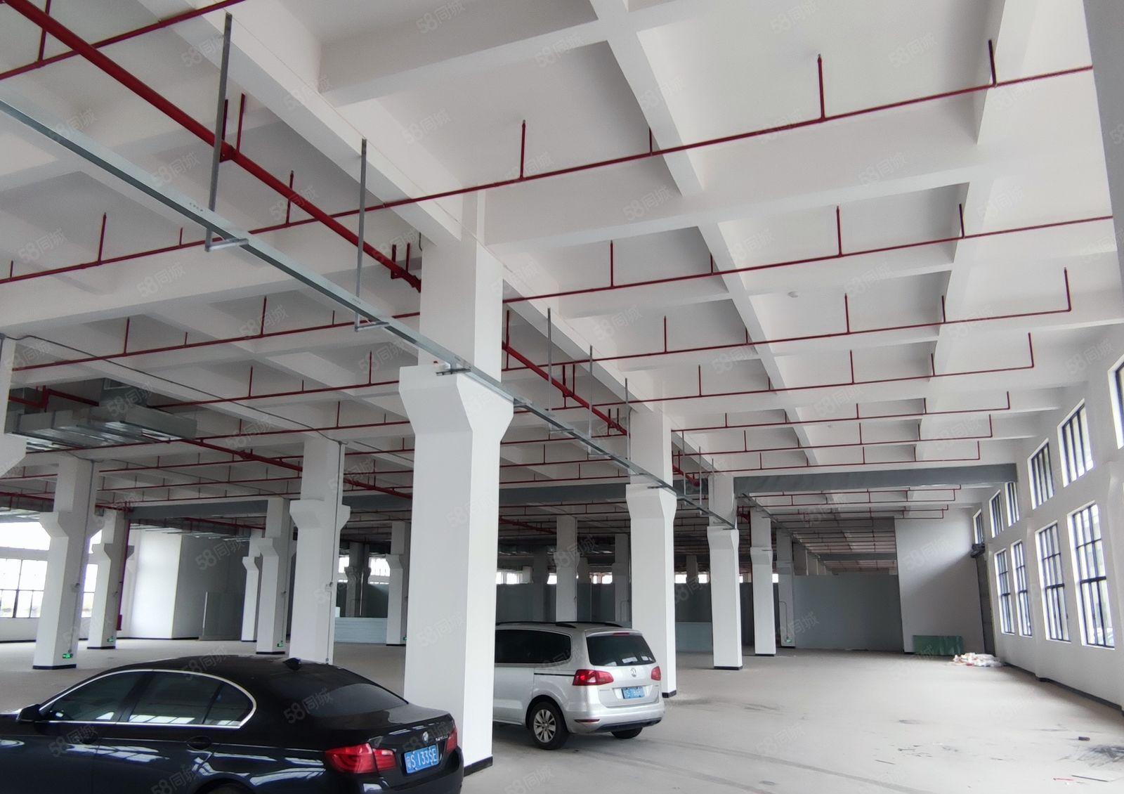 石湾科技园厂房15块出租 价格美丽 空地超大