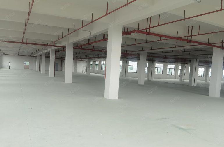 园洲镇原房东全新独栋标准厂房