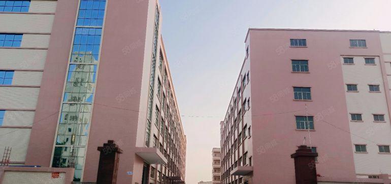 石湾镇原房东标准楼房出租分租1000方大空地免费全新红本厂房