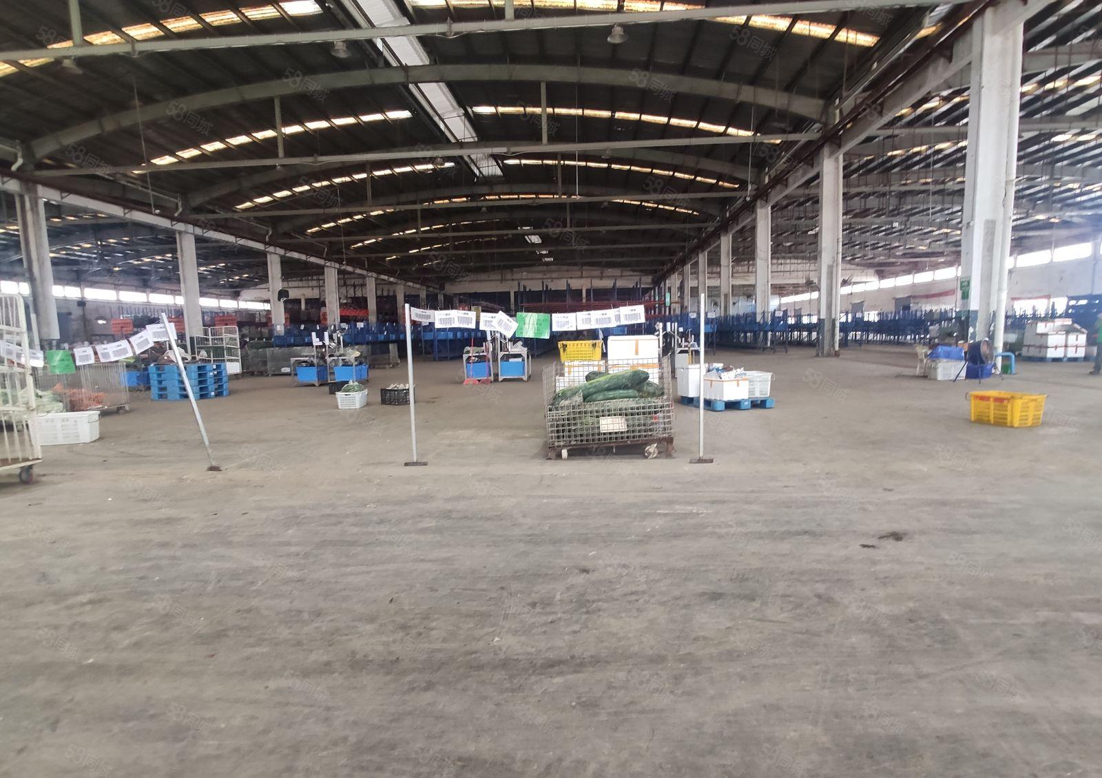 500平起租惠阳镇隆原房东4万平独院钢构厂房仓库出租可排水