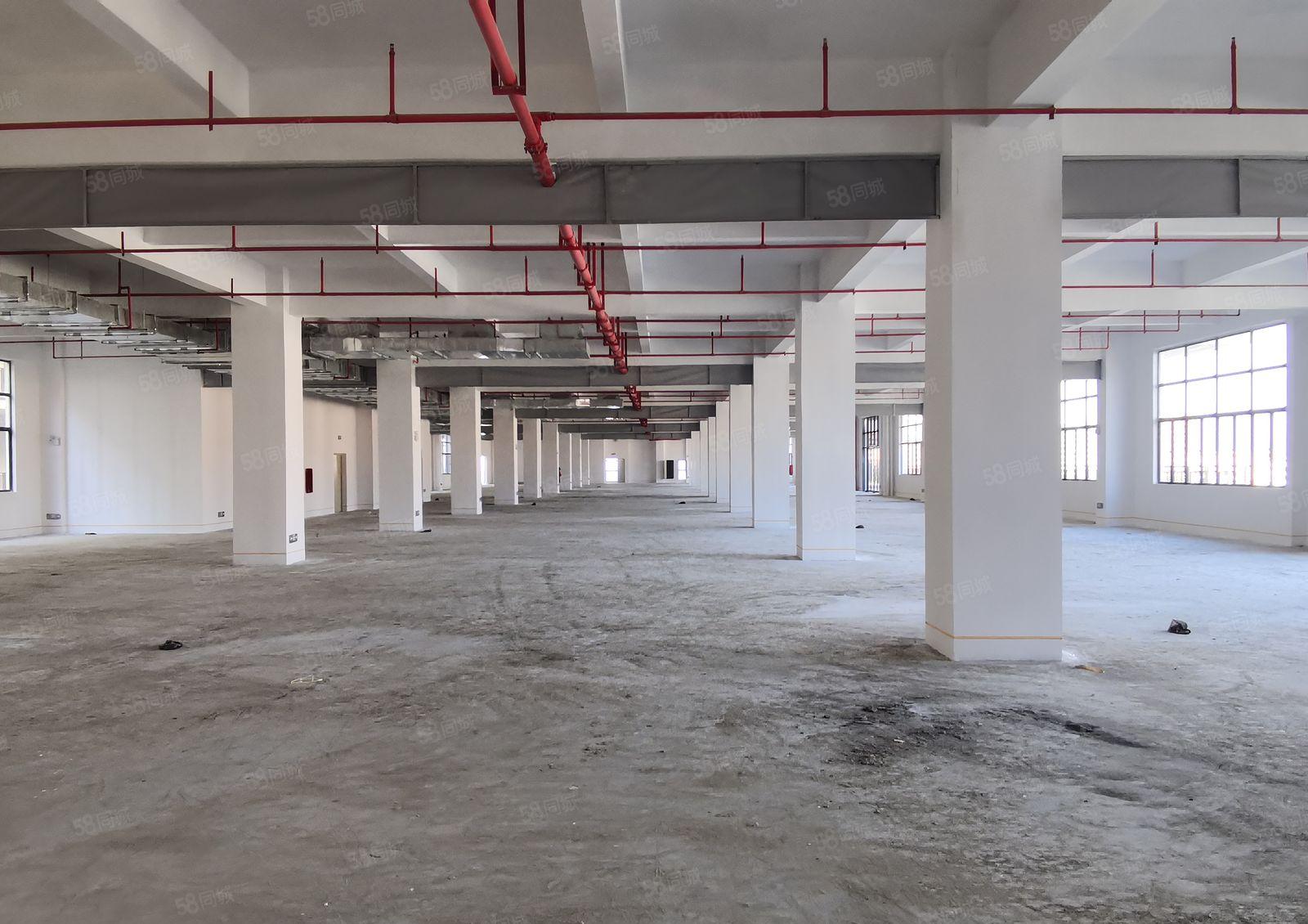 龙溪全新厂房出租  价格优惠  环境形象佳