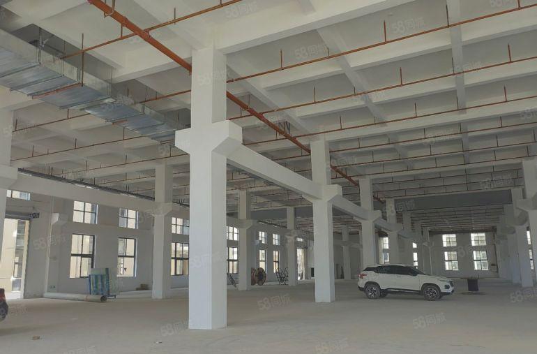 龙溪镇标准工业园7元出租楼上7元一楼8米14元全新工业区原房