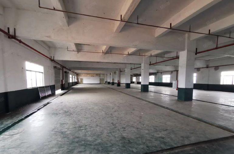 园洲全新厂房1500平起租出租 南北通透 采光好