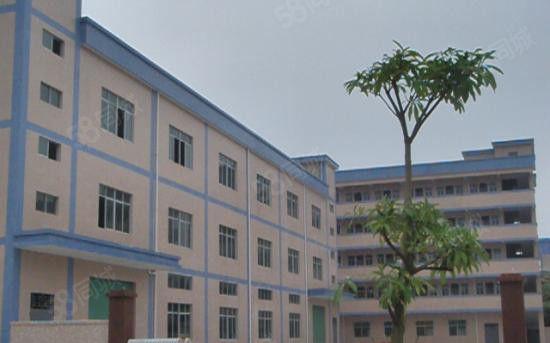 靓泰美独院厂房1万平米招租