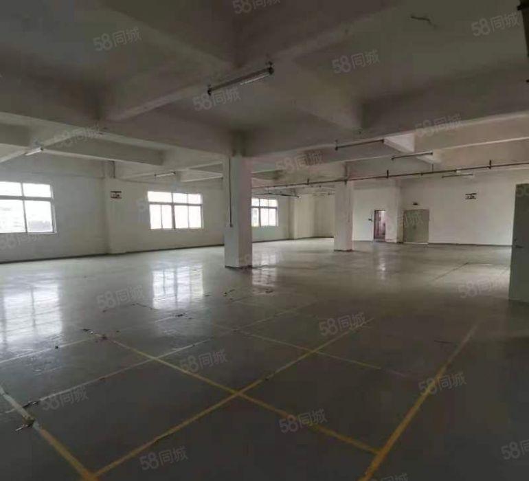 原房东直租！豪华装修！博罗石湾镇原房东独院红本厂房5000平