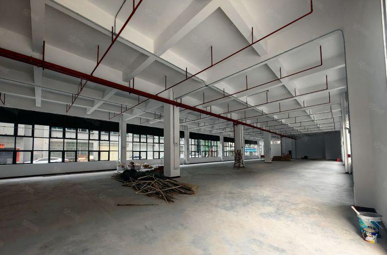 园洲镇中心独院标准厂房4600平米，宿舍900平米出租