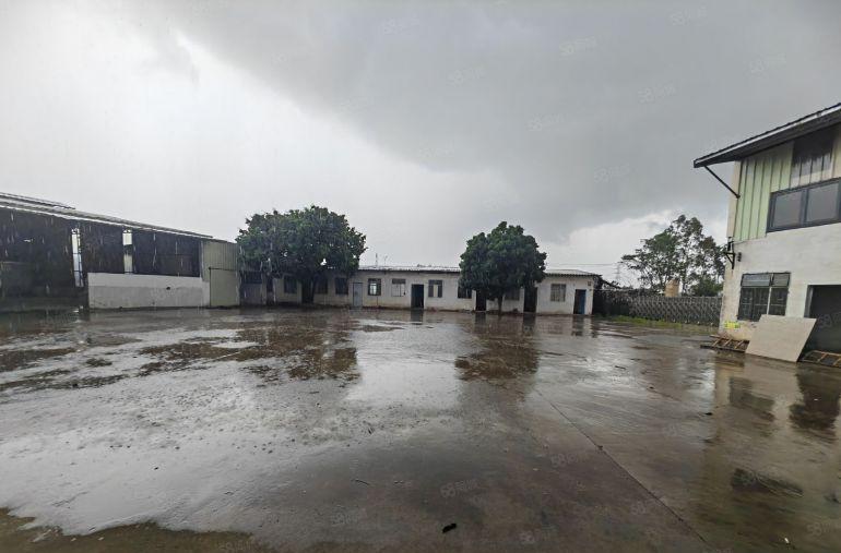 园洲靠近企刚刚搬空原房东独院单一层1950平 工业区里