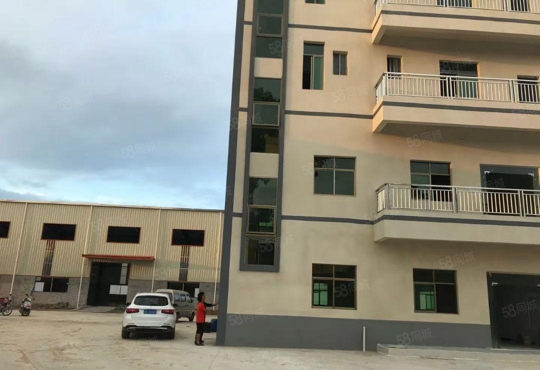 园洲工业区独院单一层滴水9米厂房出租