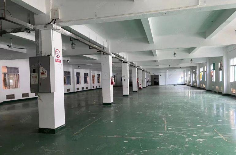 石湾镇区每层2000平花园式独院厂房可分租