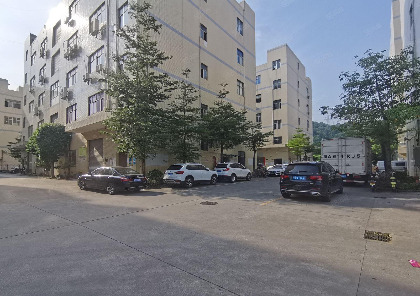 圆洲上南工业区楼上2000平厂房仓库出租原房东10元起可分租