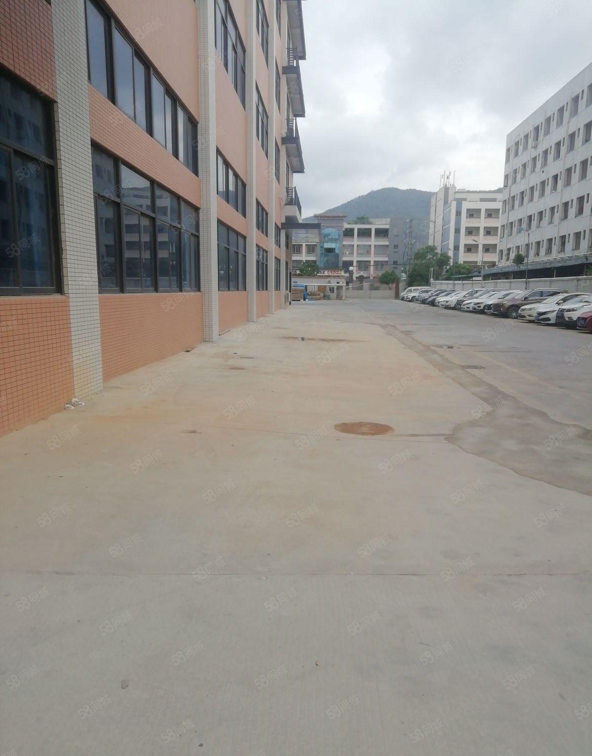 龙溪镇原房东全新红本厂房出租