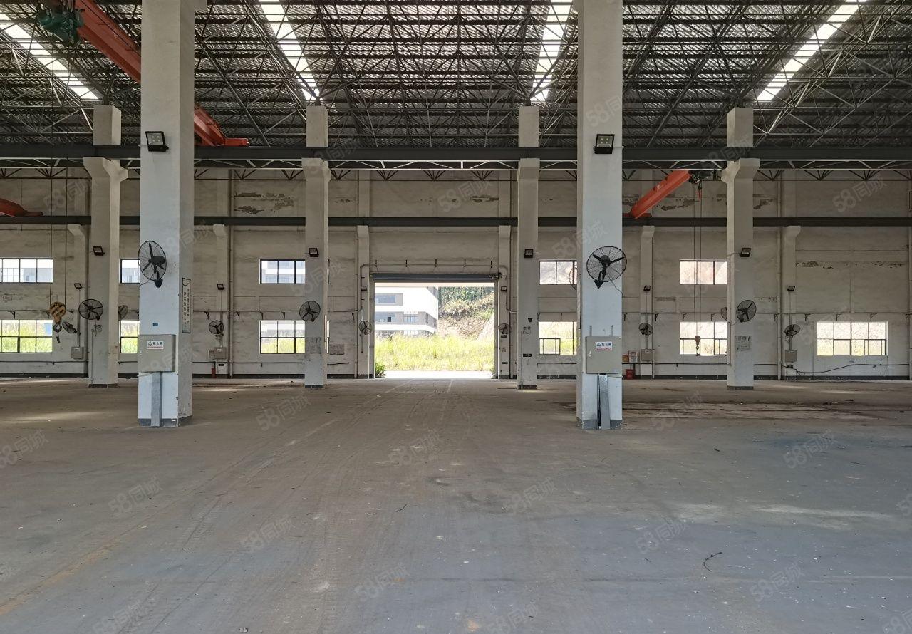 博罗县公庄镇47000平方原房东独门独院厂房出租