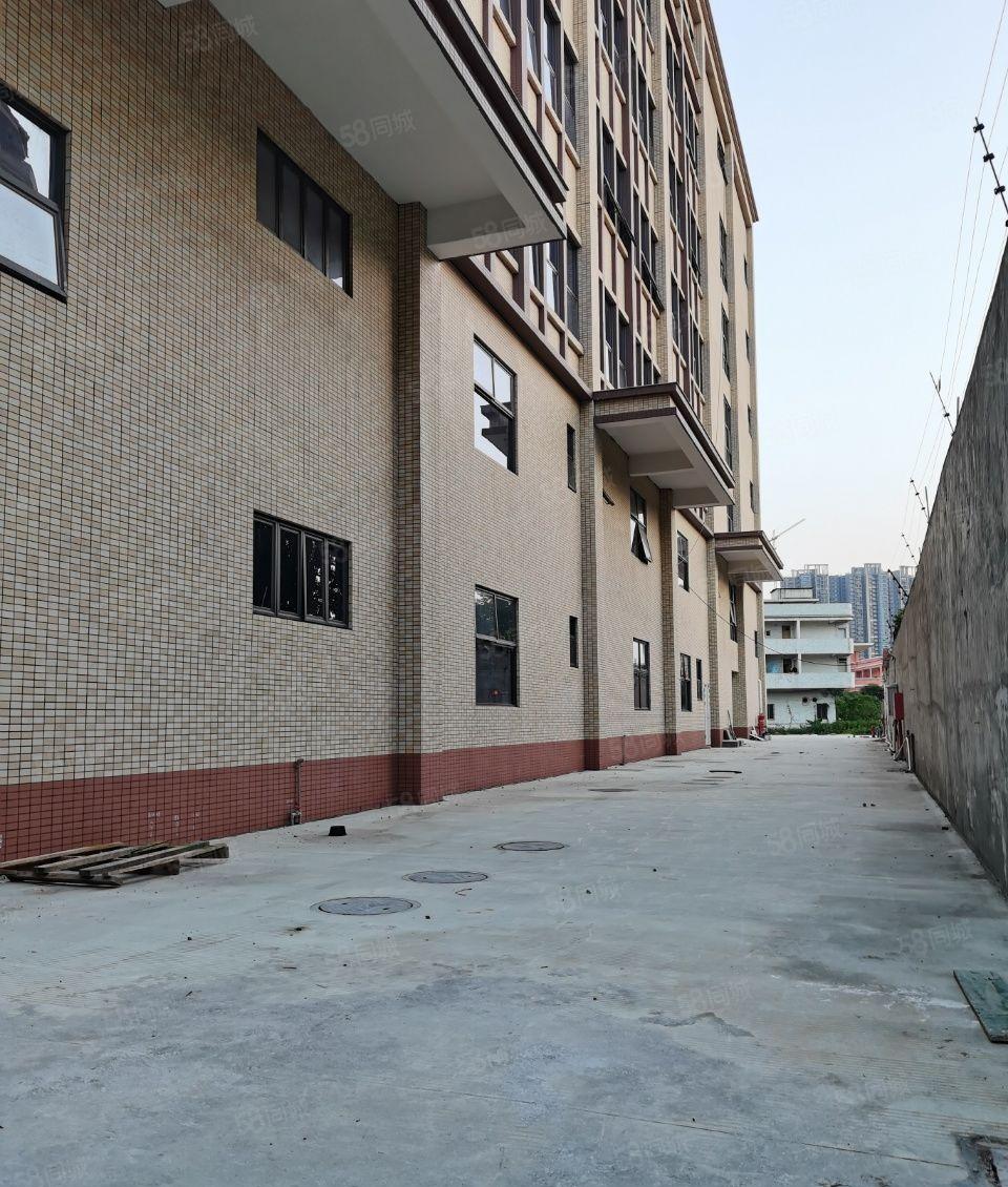 惠州市石湾镇全新标准厂房五层独栋厂房7500平方出租