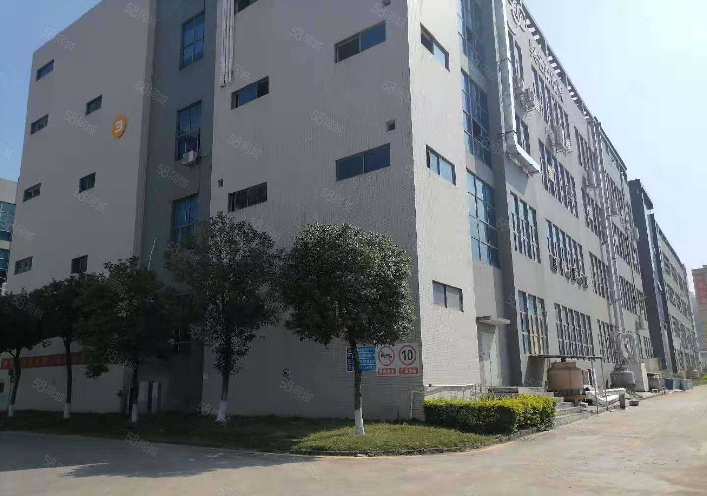 博罗园洲田头工业区精装修楼上红本厂房出租大货梯无公摊原房东