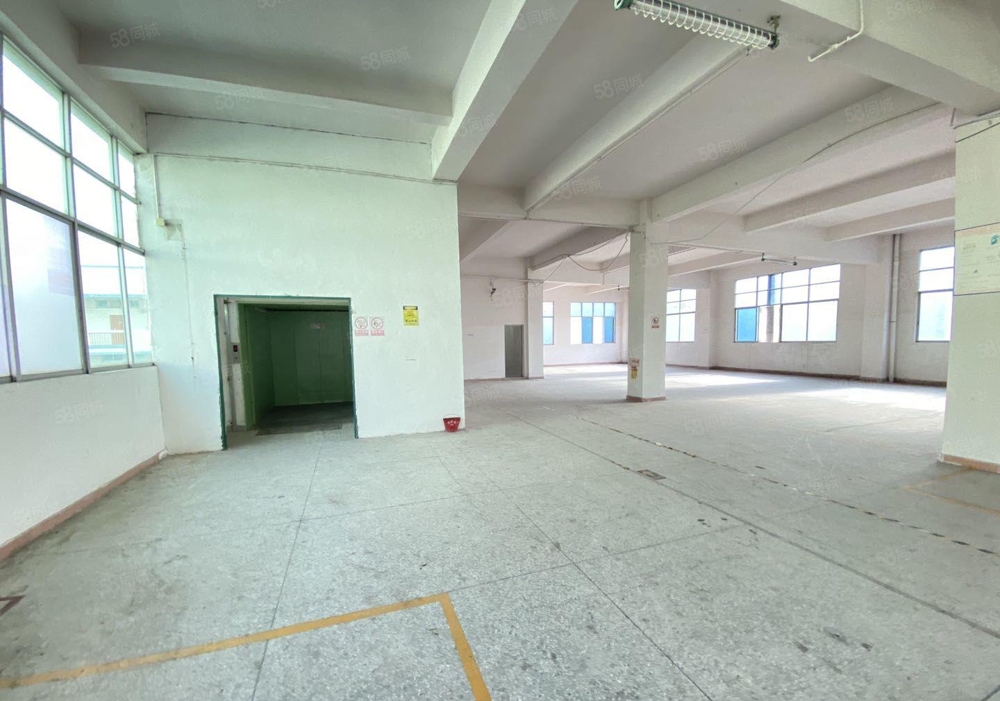 园洲工业园新空出9成新花园式独门独院红本在手原房东