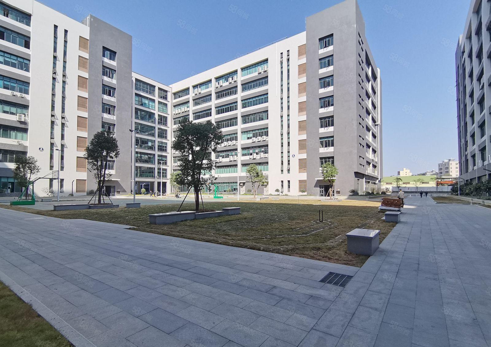 博罗 园洲新出原房东2万平工业厂房出租自建房使用率高可分租