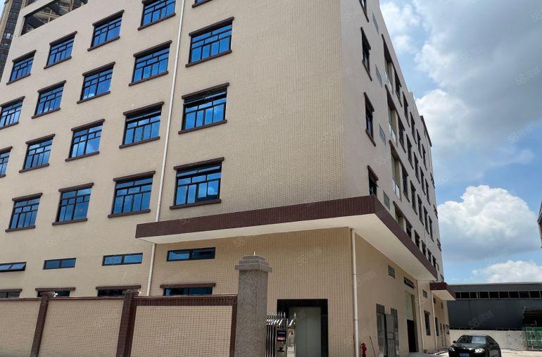 园洲全新标准独院！可做仓库！可分租！