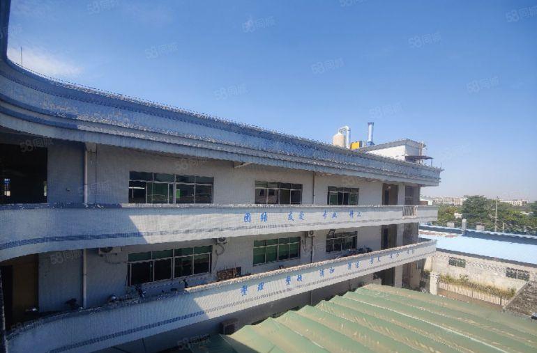 园洲新出原房东标准1400平厂房 实际面积无公摊 可办环评