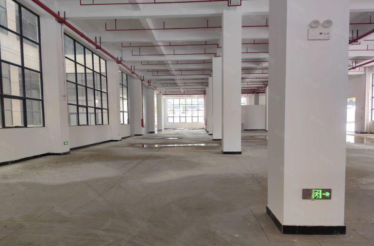 龙溪电镀基地边一楼标准厂房 高层高 周边无居民 采光好