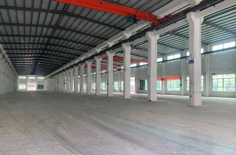 园洲临东莞钢结构独院，单价13块，滴水10米，带行车，可分租