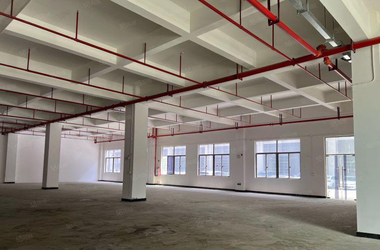 园洲新房！大型园区厂房！